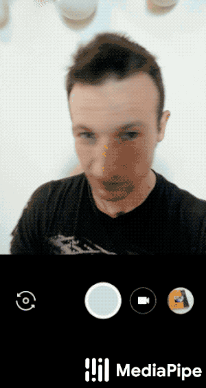 hair_segmentation_android_gpu_gif