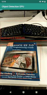 object_detection
